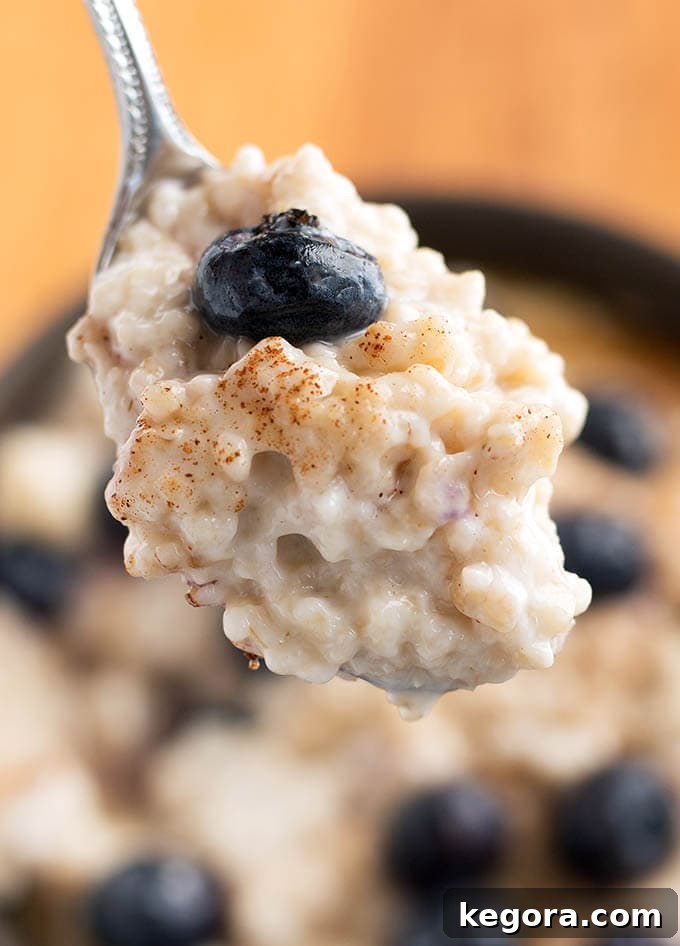 Close up of silver spoon with Steel Cut Oats