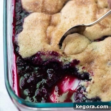 Foolproof Gluten-Free Blueberry Cobbler 8 A warm gluten-free blueberry cobbler being scooped out of a clear glass baking dish, revealing the juicy blueberry filling and golden brown, fluffy topping.
