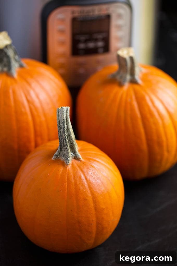 Homemade Pumpkin Puree Your Way Instant Pot Oven or Slow Cooker 3 Three small pumpkins in front of pressure cooker