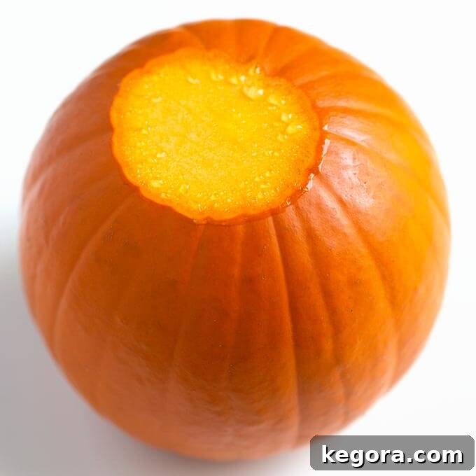 Homemade Pumpkin Puree Your Way Instant Pot Oven or Slow Cooker 4 small pumpkin with stem top removed