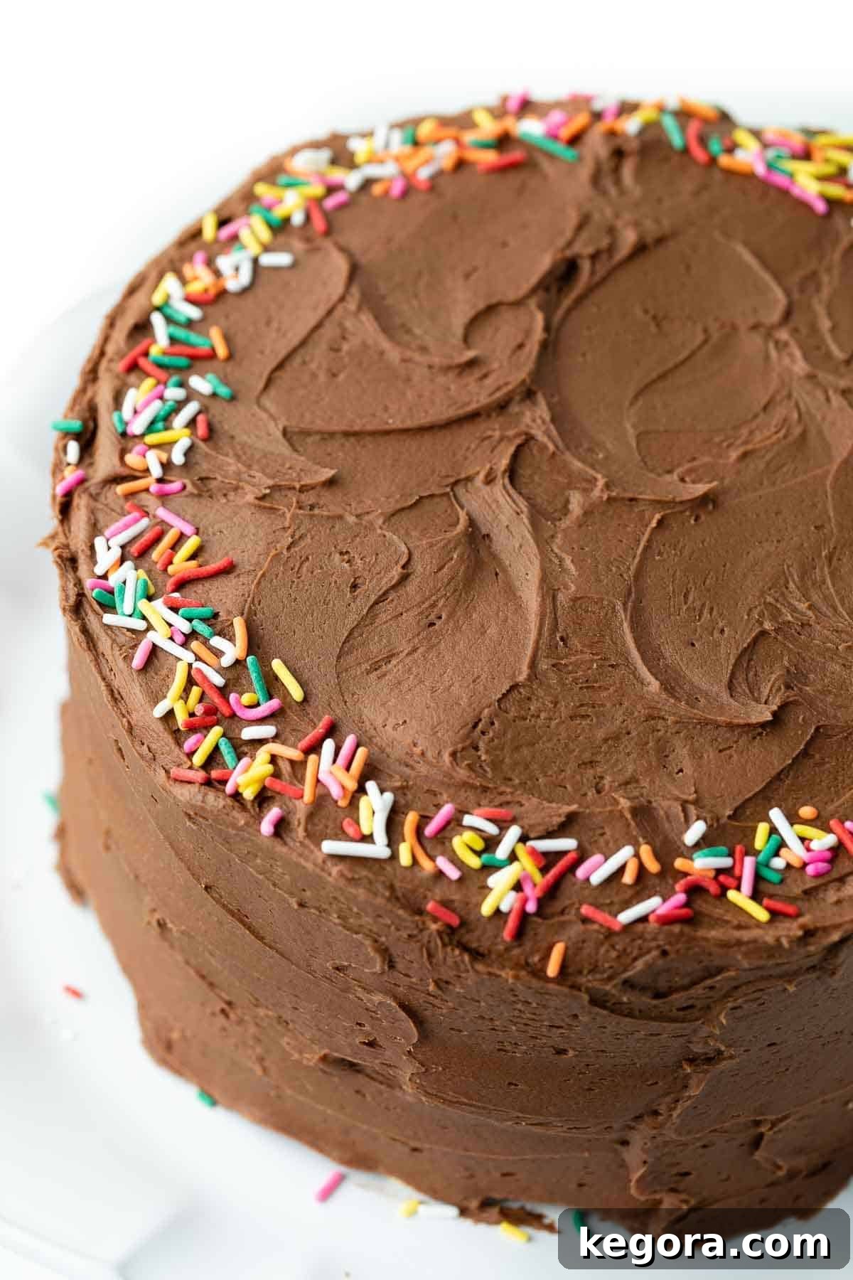 Ultimate Gluten-Free Birthday Cake 6 A perfectly round, layered birthday cake, richly decorated with chocolate frosting and a vibrant ring of colored sprinkles.
