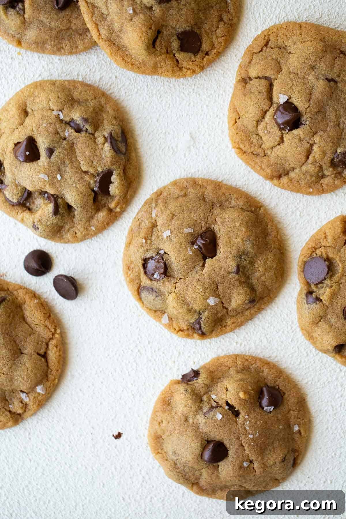 Overhead shot of freshly baked flourless peanut butter chocolate chip cookies arranged on a cooling rack, showcasing their golden-brown edges and melted chocolate chips. Perfect for gluten-free diets.