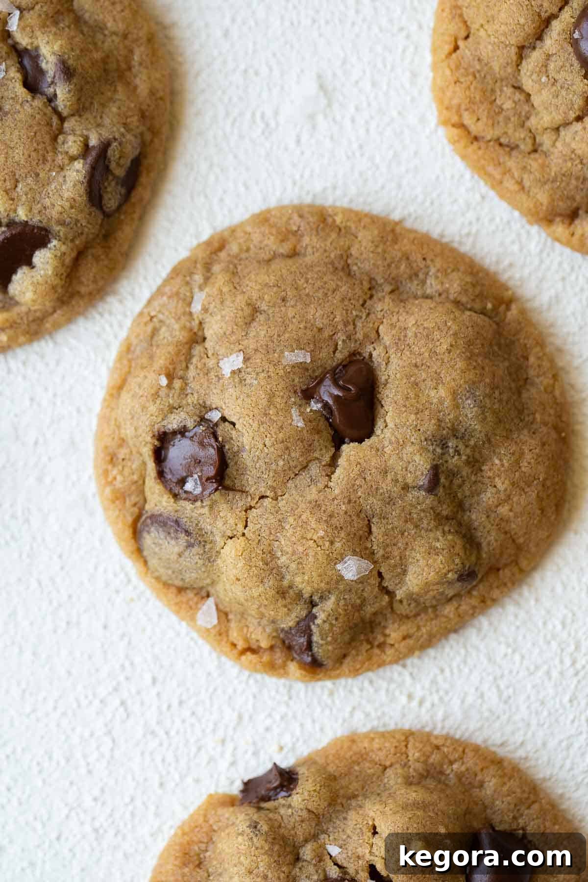 Close-up of a single perfectly baked flourless peanut butter chocolate chip cookie on a white background, showcasing its rich texture and melted chocolate.