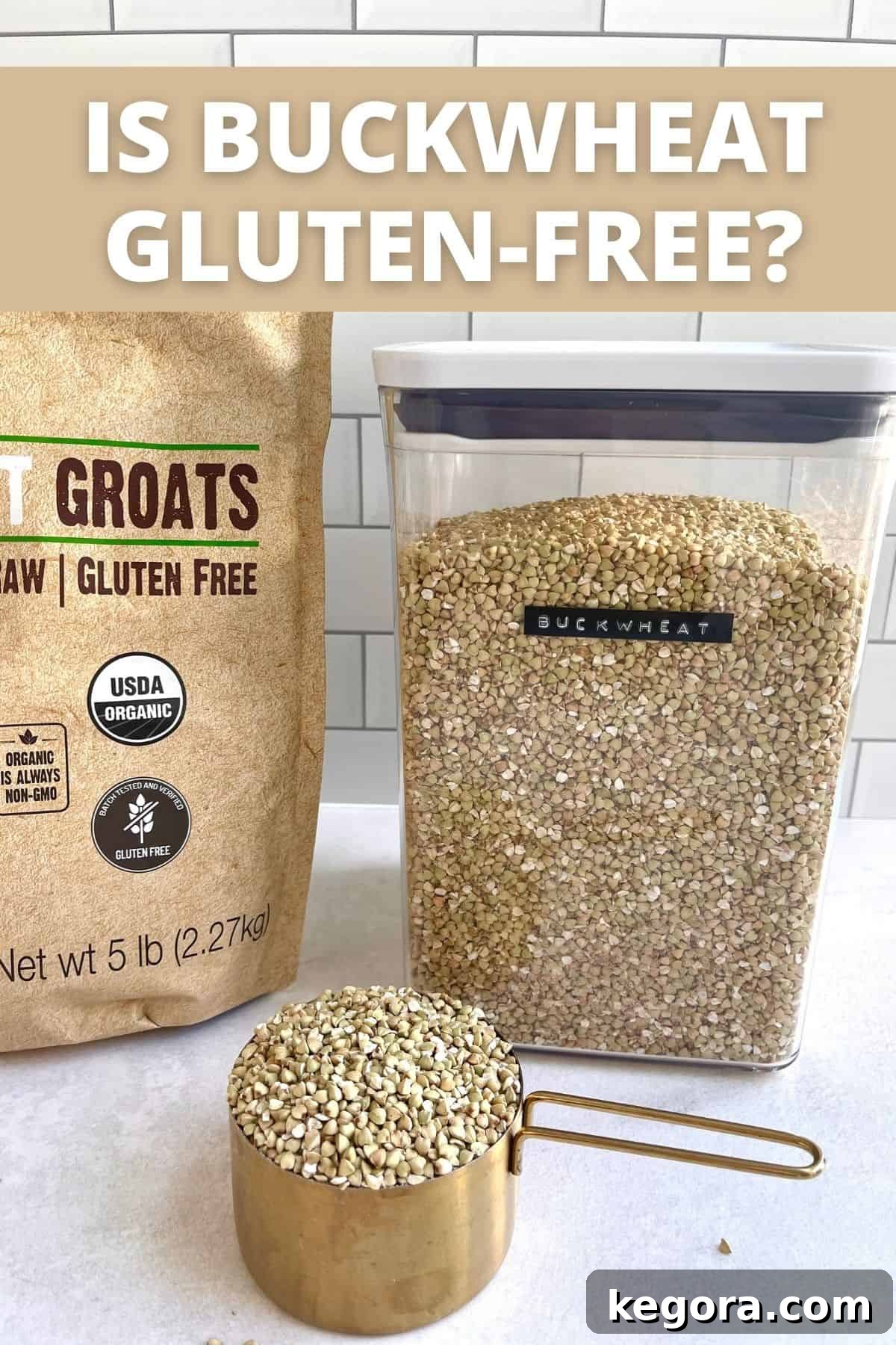 Buckwheat Gluten Free Explained 2 buckwheat in canister and with a scoop