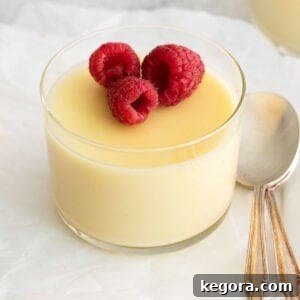 An elegant lemon posset in a delicate glass dish, garnished with fresh red raspberries and a silver spoon resting beside it, highlighting its simple beauty and vibrant flavor.
