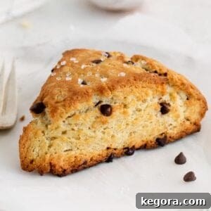 A chocolate chip scone on a plate