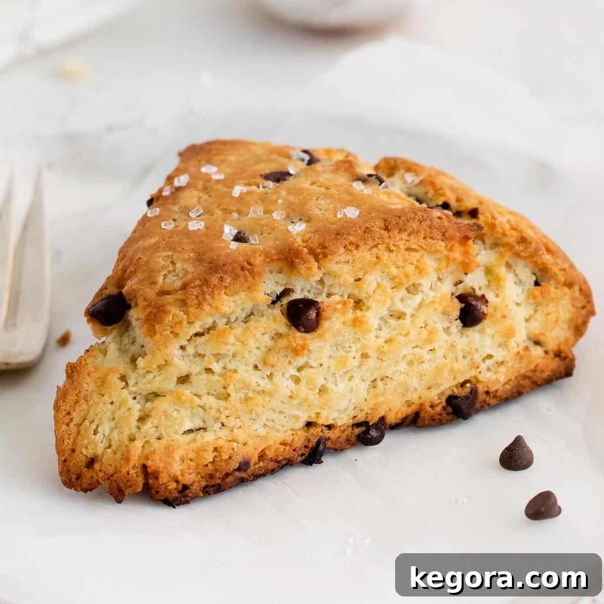A chocolate chip scone on a white plate