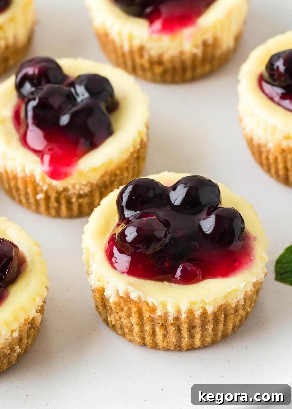 Irresistible Mini Cheesecakes 2 Mini Cheesecakes with blueberry filling on a white plate.