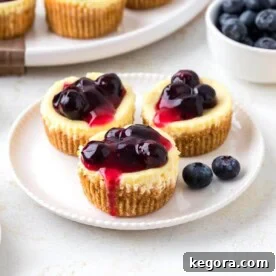 Mini Cheesecakes with blueberry filling on a white plate.
