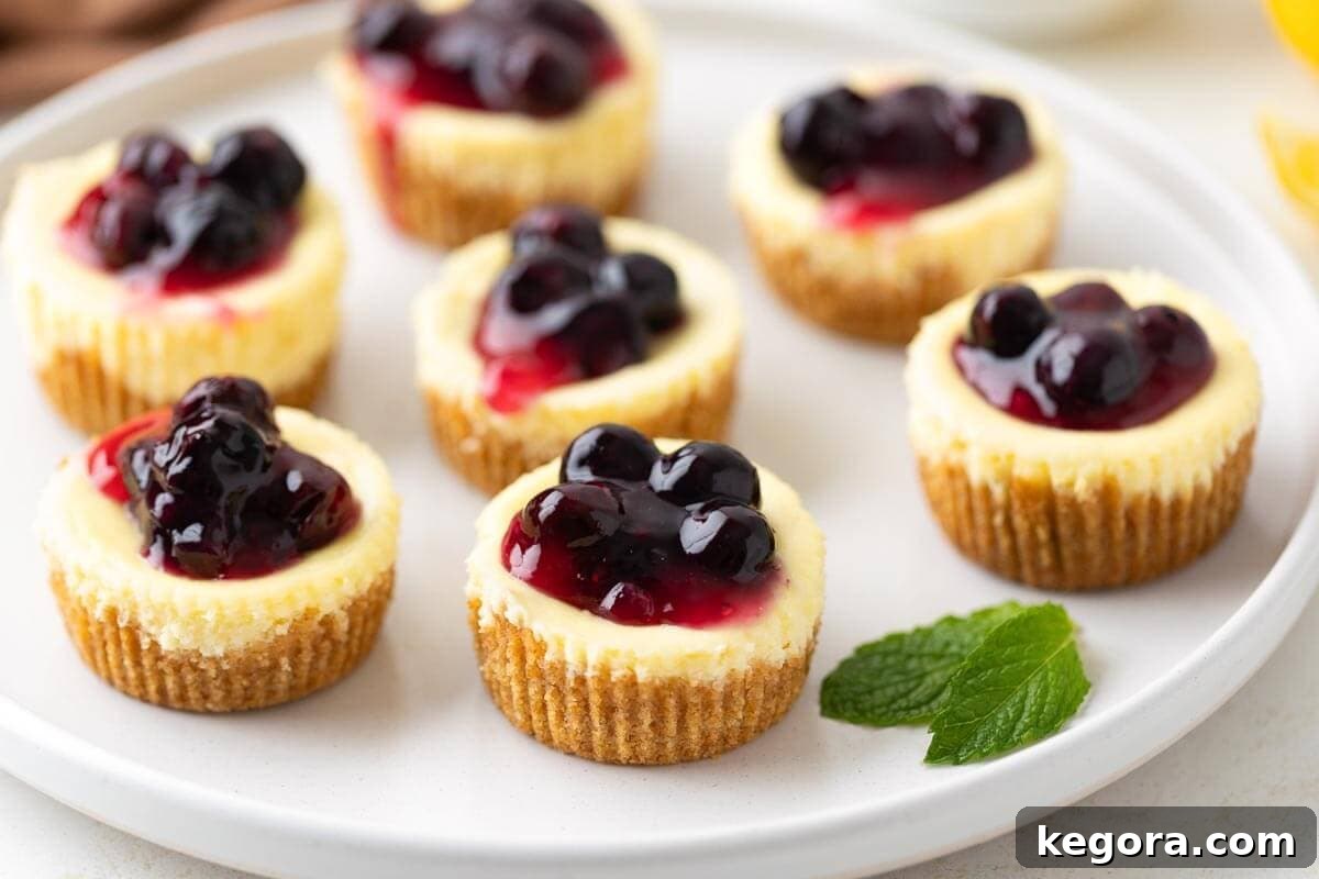 Irresistible Mini Cheesecakes 3 Mini Cheesecakes with blueberry filling on a white plate.
