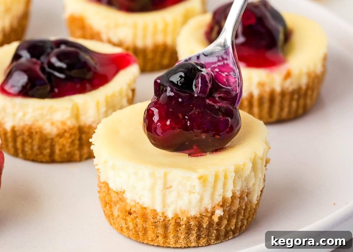 Irresistible Mini Cheesecakes 9 Mini Cheesecakes with blueberry filling on a spoon on white plate.