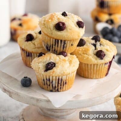 stack of 4 gluten free blueberry muffins