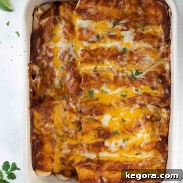 overhead shot of enchiladas in white baking dish topped with cilantro
