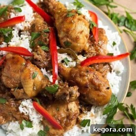 Instant Pot Chicken Adobo Filipino on a plate, showcasing the rich sauce and tender chicken pieces.