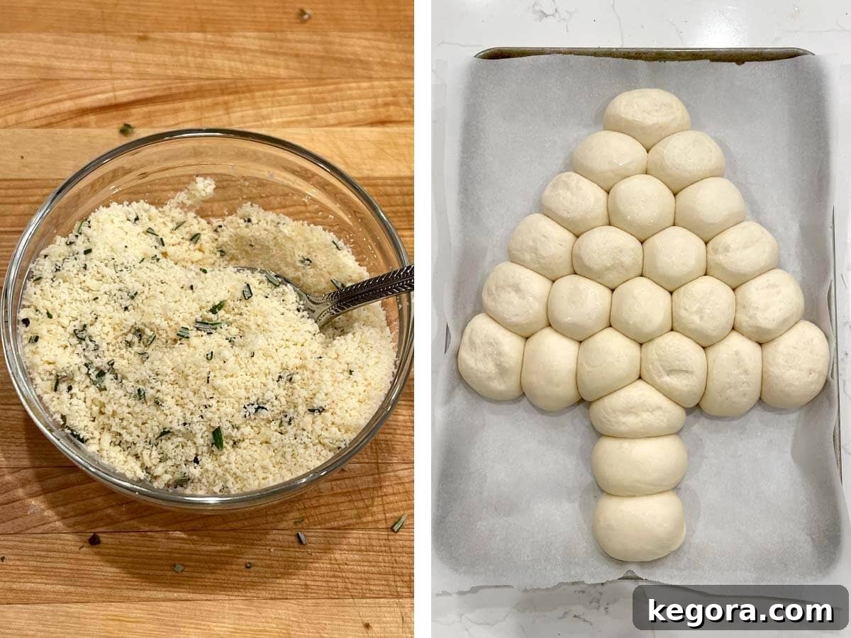 parmesan mixture in bowl, dough ball tree risen.