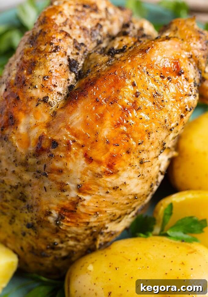 Close up of turkey breast and potato dinner 