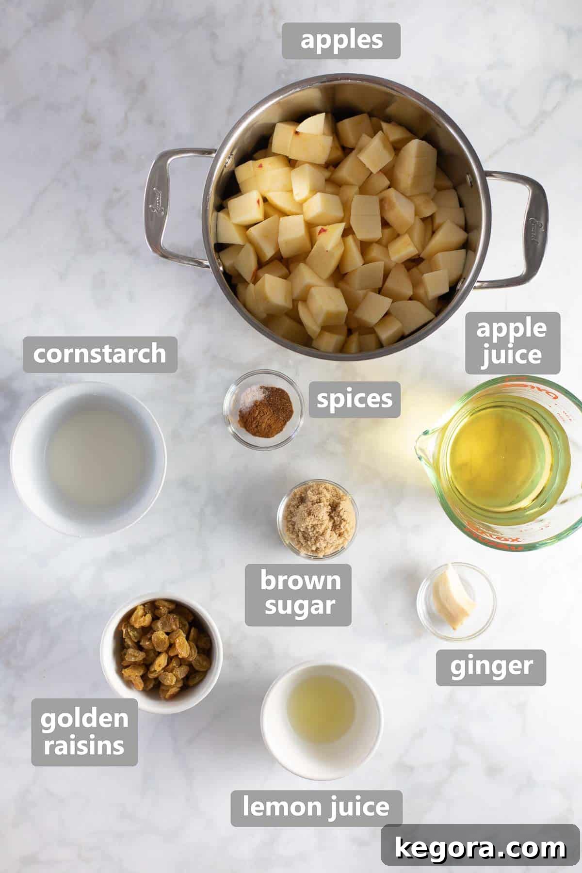 Ingredients laid out on a white marble background for making homemade applesauce, including apples, golden raisins, ginger, and spices, symbolizing the start of a delicious recipe.