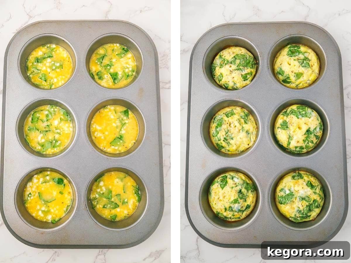 6 hole muffin tin with chopped spinach, feta, egg mixture in the holes before baking, after baking.