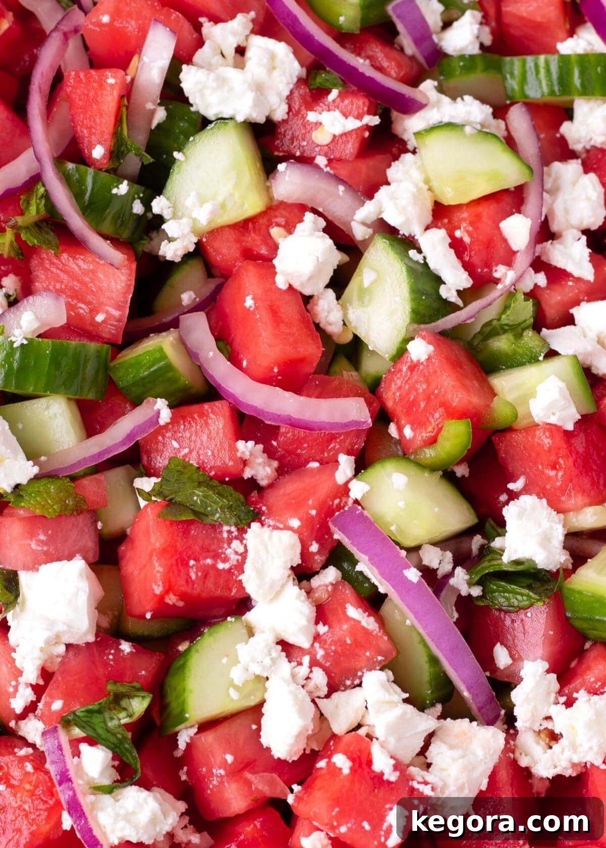 Watermelon Feta Salad closeup
