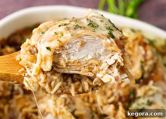 Spoonful of French Onion Chicken and Rice on a wooden spoon