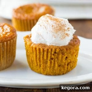 A close-up shot of individual gluten-free crustless pumpkin pie cupcakes topped with whipped cream and a sprinkle of cinnamon.