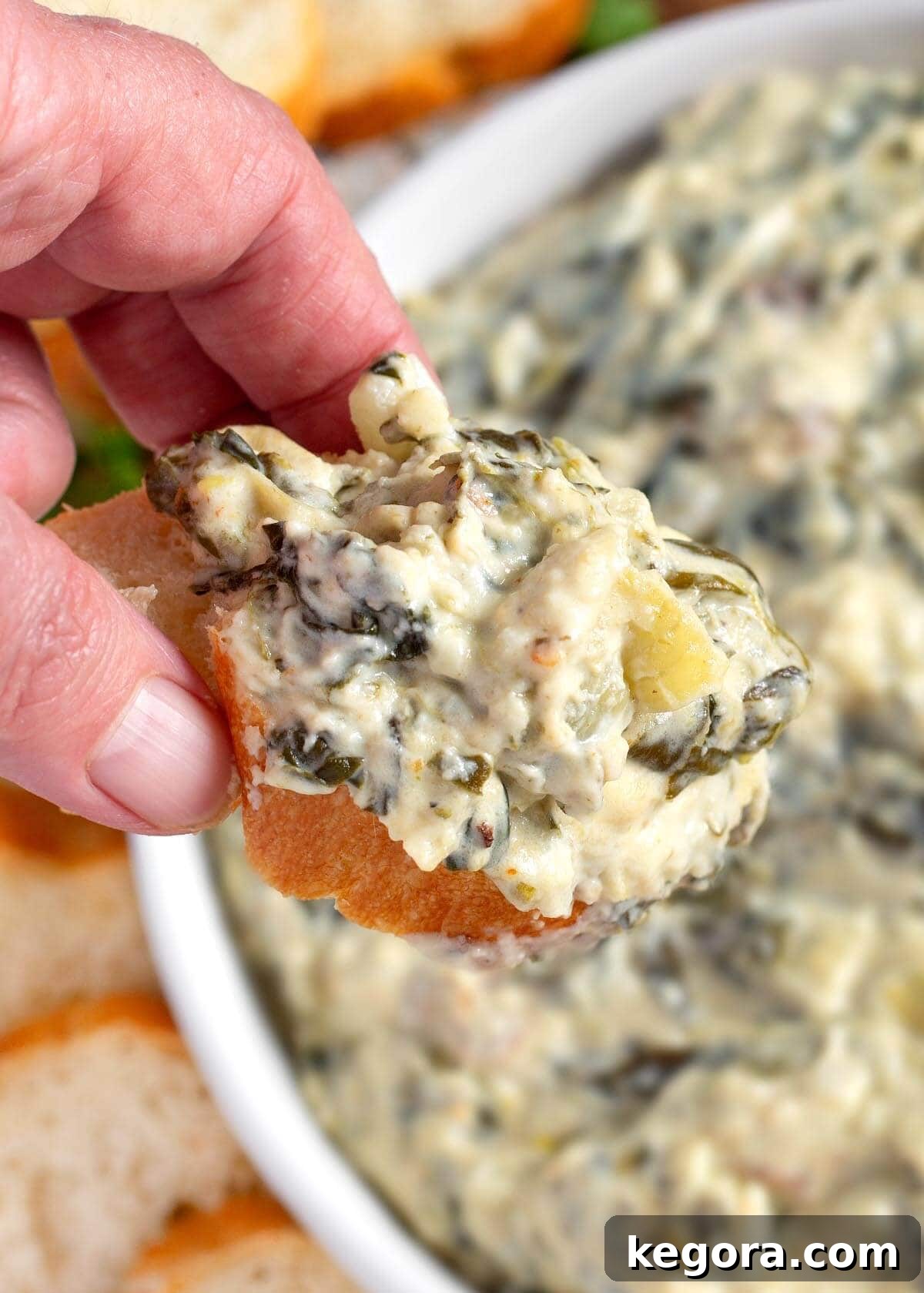 Slow Cooker Spinach Artichoke Dip on a baguette slice in hand closeup.