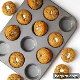A top-down view of Orange Chocolate Cream Cheese Muffins in a white muffin pan, artfully arranged on a clean white background, highlighting their appeal.