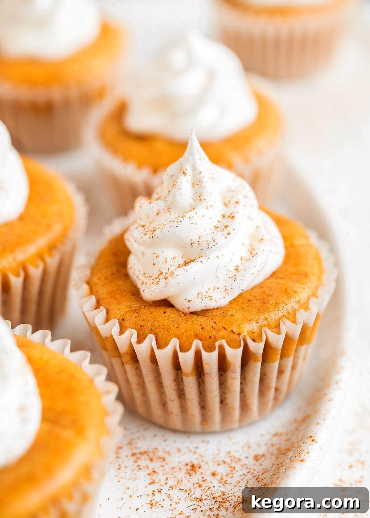 Spiced Pumpkin Cheesecake Bites 2 Mini Pumpkin Cheesecakes with one closeup on a plate