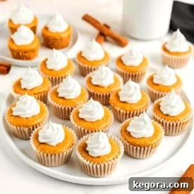 Mini Pumpkin Cheesecakes on a plate