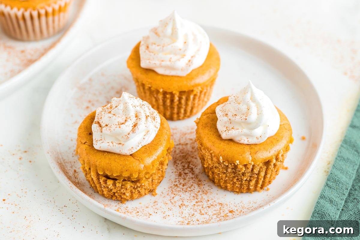 Spiced Pumpkin Cheesecake Bites 8 3 Mini Pumpkin Cheesecakes on a white plate