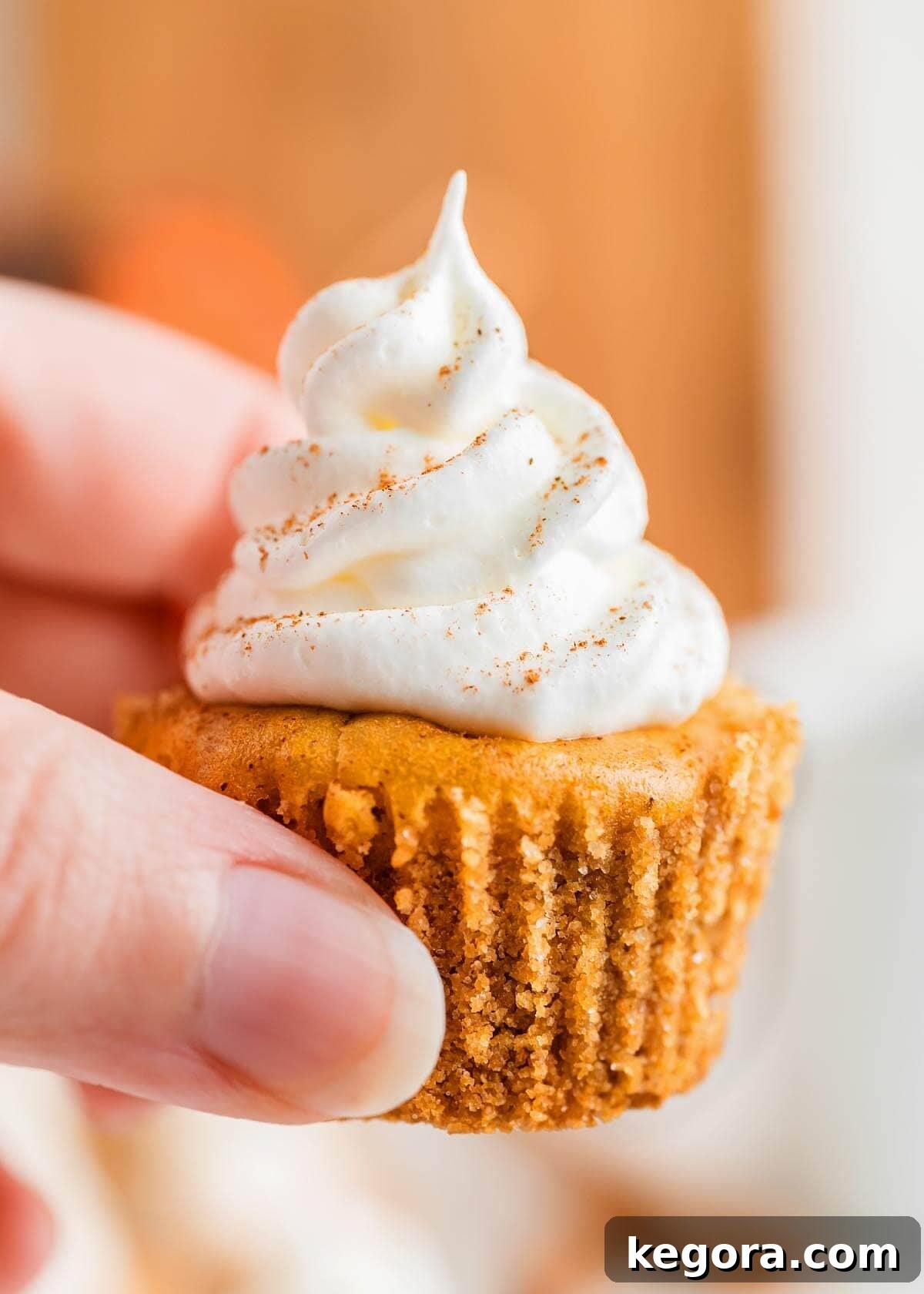 Spiced Pumpkin Cheesecake Bites 9 closeup of hand holding a Mini Pumpkin Cheesecake.