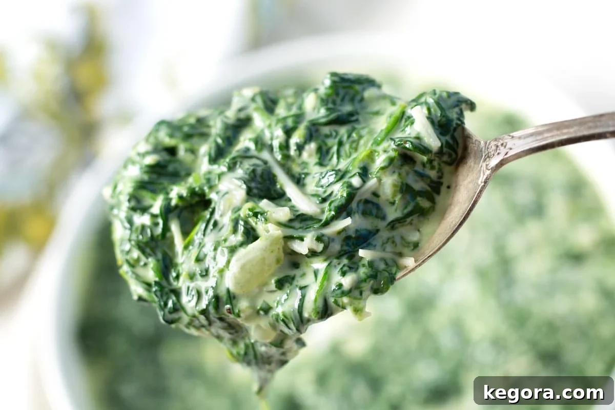 Rich Creamy Cheesy Spinach 3 A close-up of cheesy creamed spinach on a spoon, showing the melted cheese and tender greens.