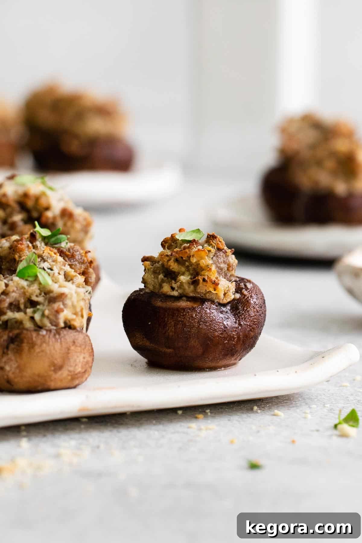 A beautiful side view of baked gluten-free stuffed mushrooms, showing the rich filling and golden topping.