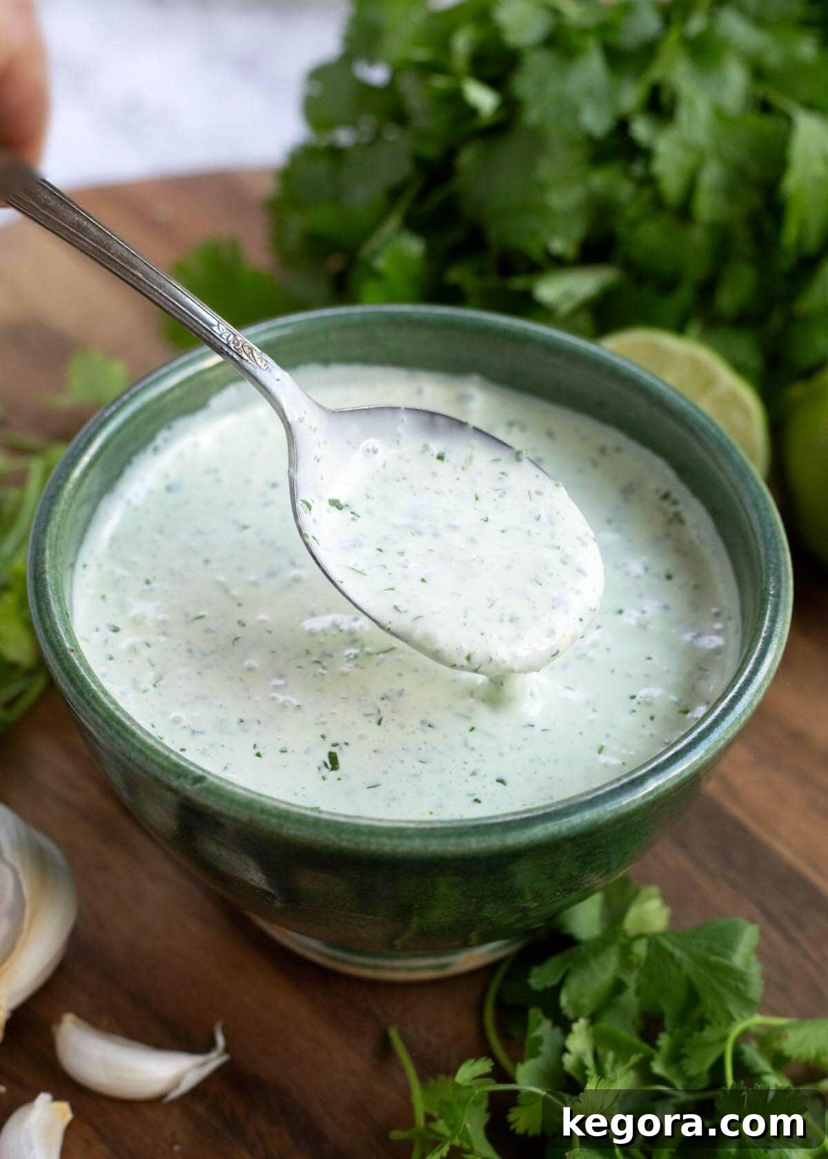 Vibrant Cilantro Cream 2 Bright green Cilantro Cream Sauce in a decorative green bowl with a serving spoon, garnished with fresh cilantro sprigs