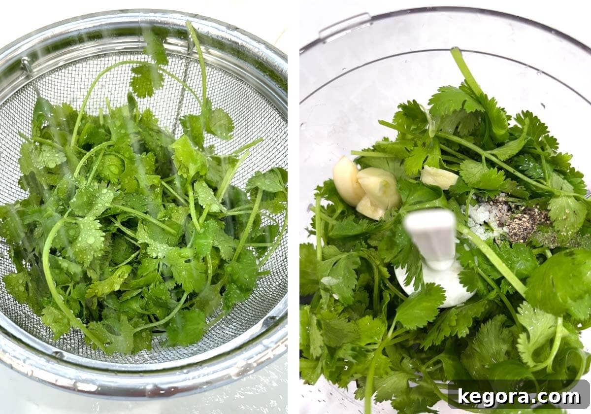 Vibrant Cilantro Cream 6 A series of images showing the steps: rinsing cilantro in a sieve, then adding cilantro, salt, pepper, garlic, and lime juice to a food processor