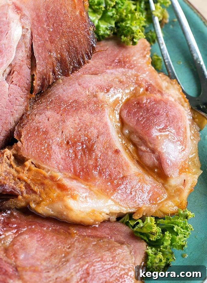 Close up of Bone-in Ham on turquoise plate