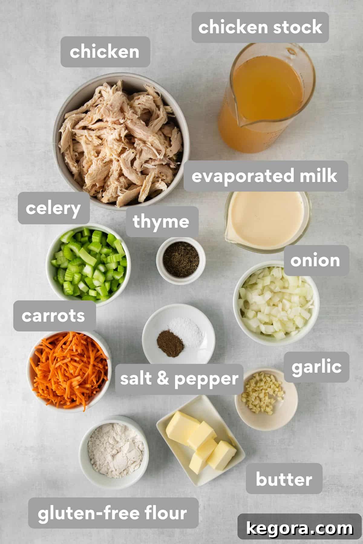 Chicken and dumpling ingredients laid out on a countertop, including chicken, vegetables, and broth