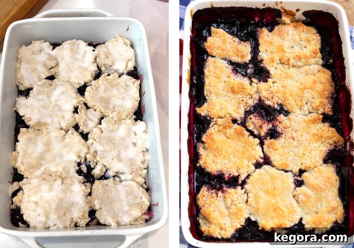 Image showing the blackberry cobbler ready to bake with biscuit topping brushed with buttermilk and sugar, followed by a photo of the finished, golden-baked cobbler.