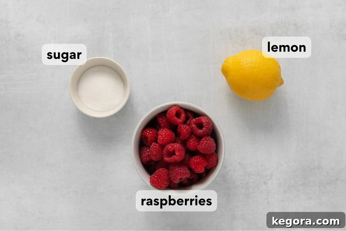 Vibrant Raspberry Drizzle 4 Carefully measured ingredients for raspberry coulis, including fresh raspberries, lemon, and sugar, laid out on a clean surface.