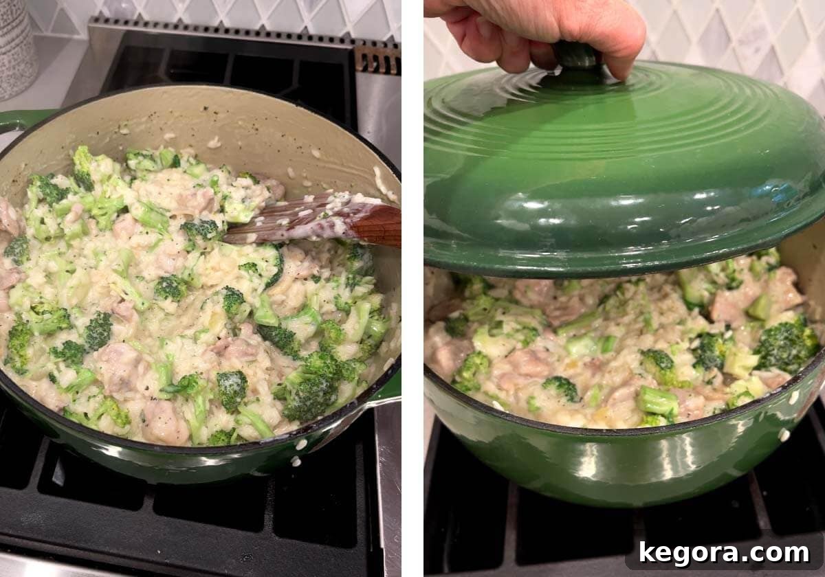 Creamy Cheddar Chicken Broccoli Rice Bake 11 Stirring in broccoli florets and placing the lid back on the pot to steam the vegetables.