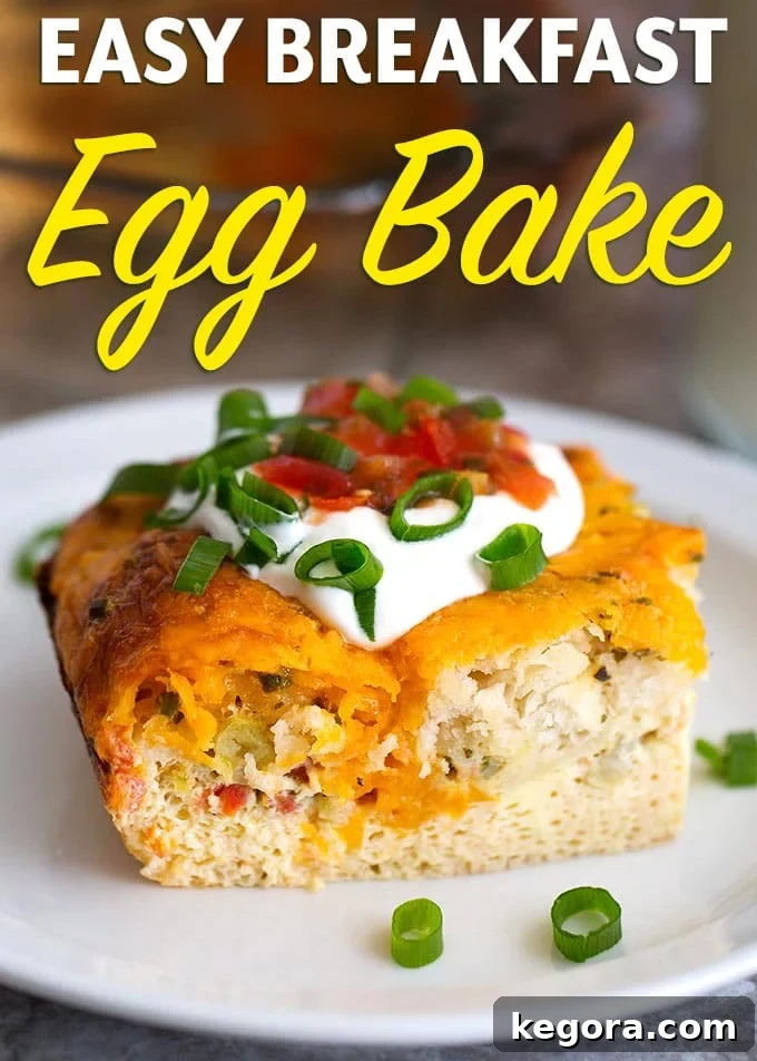 This Easy Breakfast Egg Bake is full of Southwest flavor! Eggs, biscuits, and cheese blend with lots of seasoning and flavorful add-ons! Double it to feed a crowd! Find the recipe at simplyhappyfoodie.com, search #eggbake #eggbiscuitbake #eggrecipes
