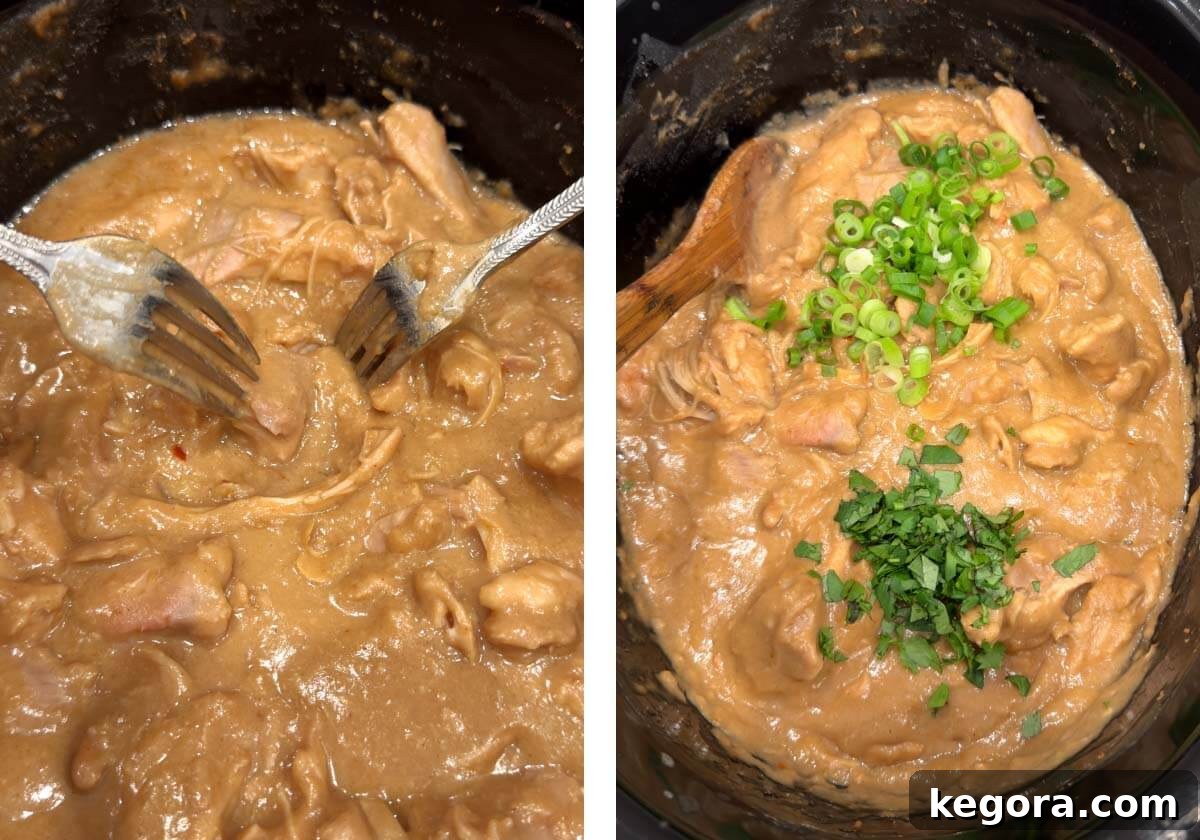 Shredding chicken with 2 forks, and garnished chicken dish