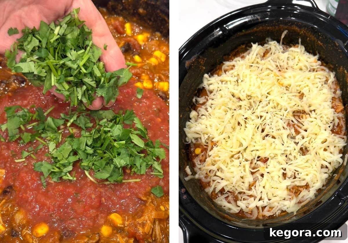 Slow Cooker Cheesy Chicken Enchilada Bake 9 Adding cilantro to sauce and sprinkling cheese on top of the casserole