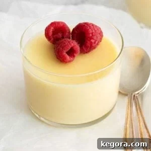 Elegant lemon posset in a small serving dish, garnished with fresh raspberries.
