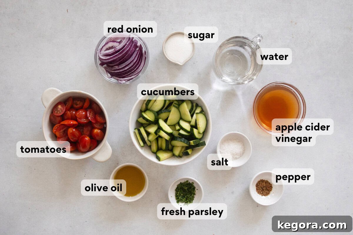 Easy Tangy Cucumber Tomato Salad 4 Fresh ingredients for Marinated Cucumber Tomato Salad arranged beautifully on a rustic kitchen countertop, including cucumbers, tomatoes, red onion, and fresh parsley.