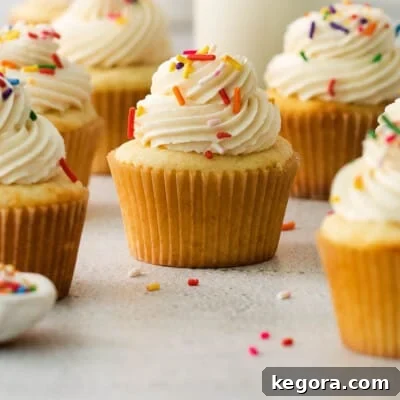 Gluten-free vanilla cupcakes on a countertop, beautifully arranged