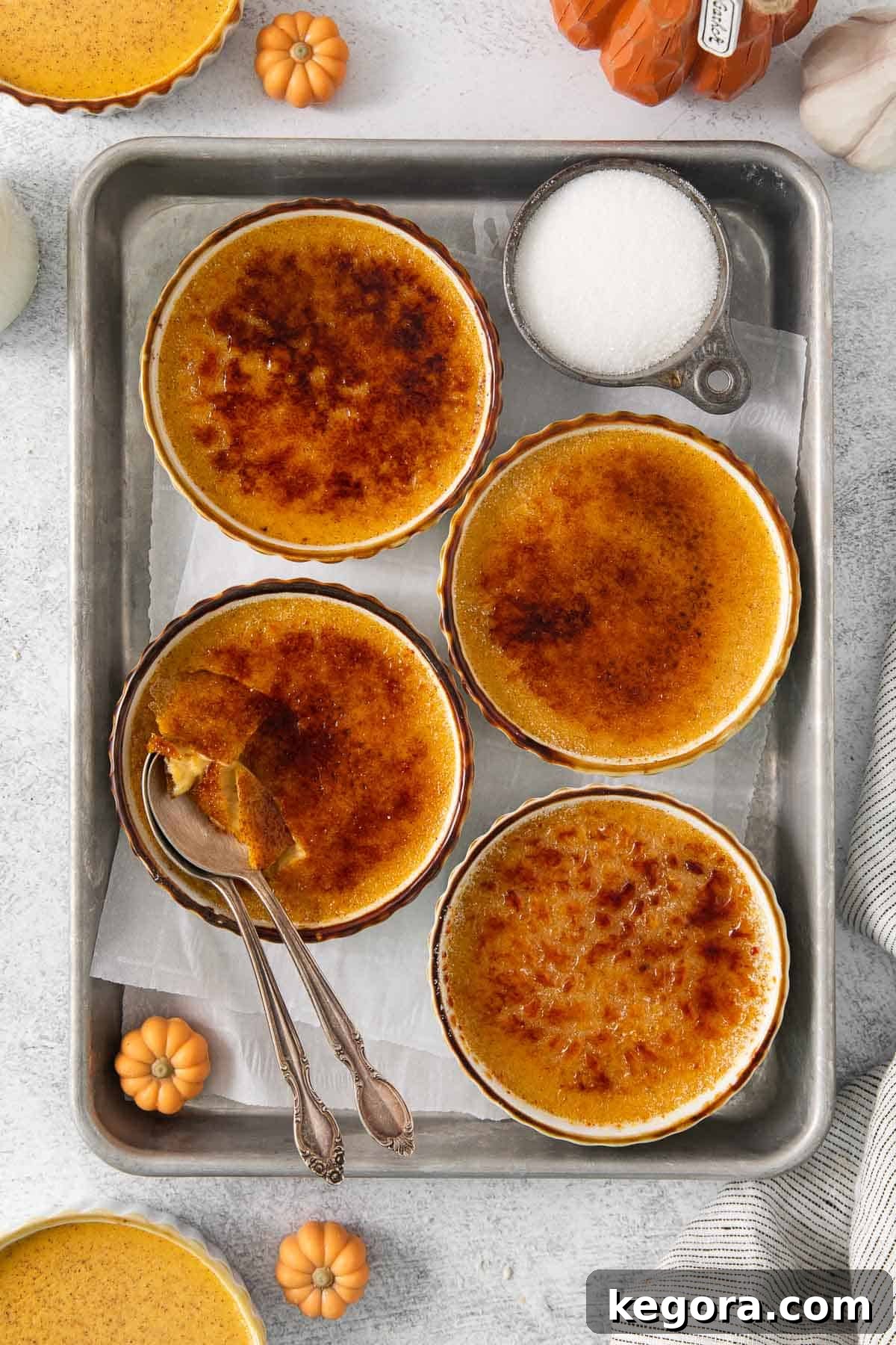Velvet Pumpkin Creme Brulee 8 Pumpkin creme brûlée in ramekins neatly arranged on a baking tray, showcasing their perfect bake.
