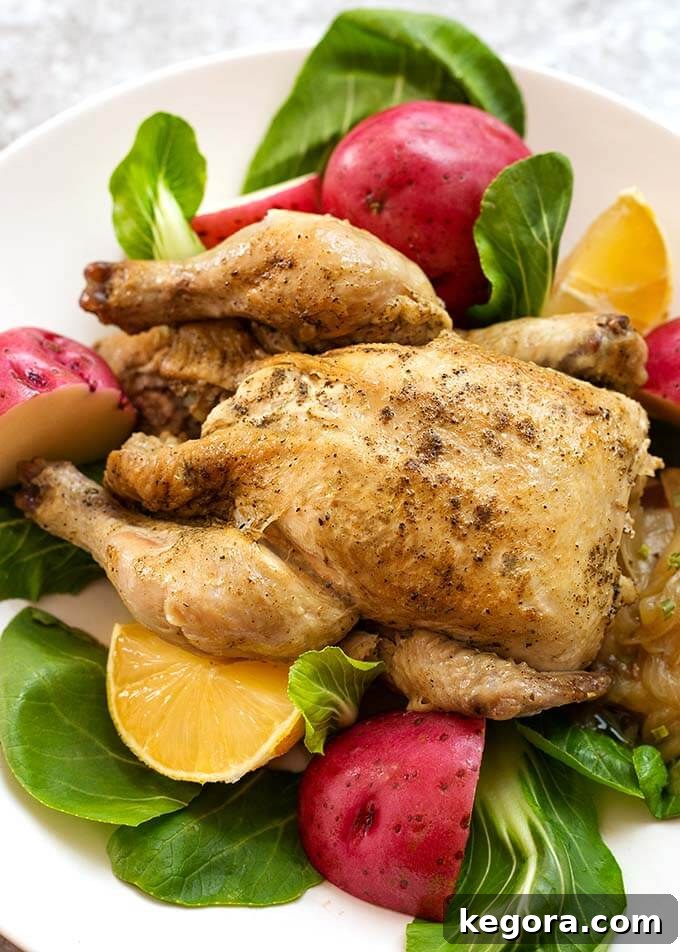 Cornish Game Hen on a white plate with potatoes and vegetables