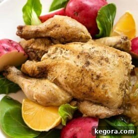 Cornish Game Hen on a white plate with potatoes and vegetables