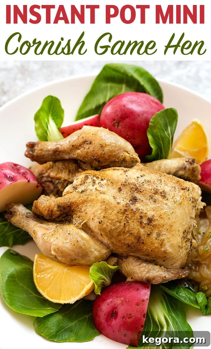 Much like a rotisserie chicken, Instant Pot Mini - Cornish Game Hen cooked in the 3 quart electric pressure cooker, comes out juicy and tender. A fast dinner with a smaller portion size. simplyhappyfoodie.com #instantpotcornishhen #instantpotgamehen